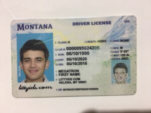 Montana Driver License