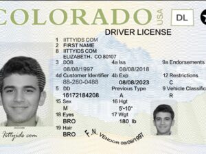 buy COLORADO Fake Id