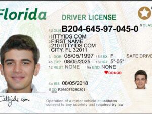 buy Florida Fake Id